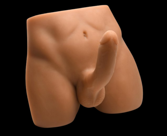 Male Ass Masturbator with Posable Dildo